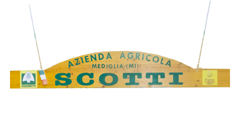 scotti-mercatini